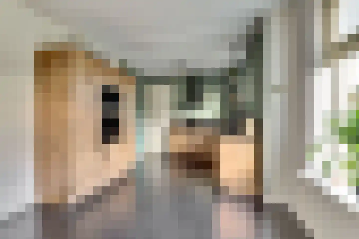 It Stalt 6 Oudega thumbnail 20