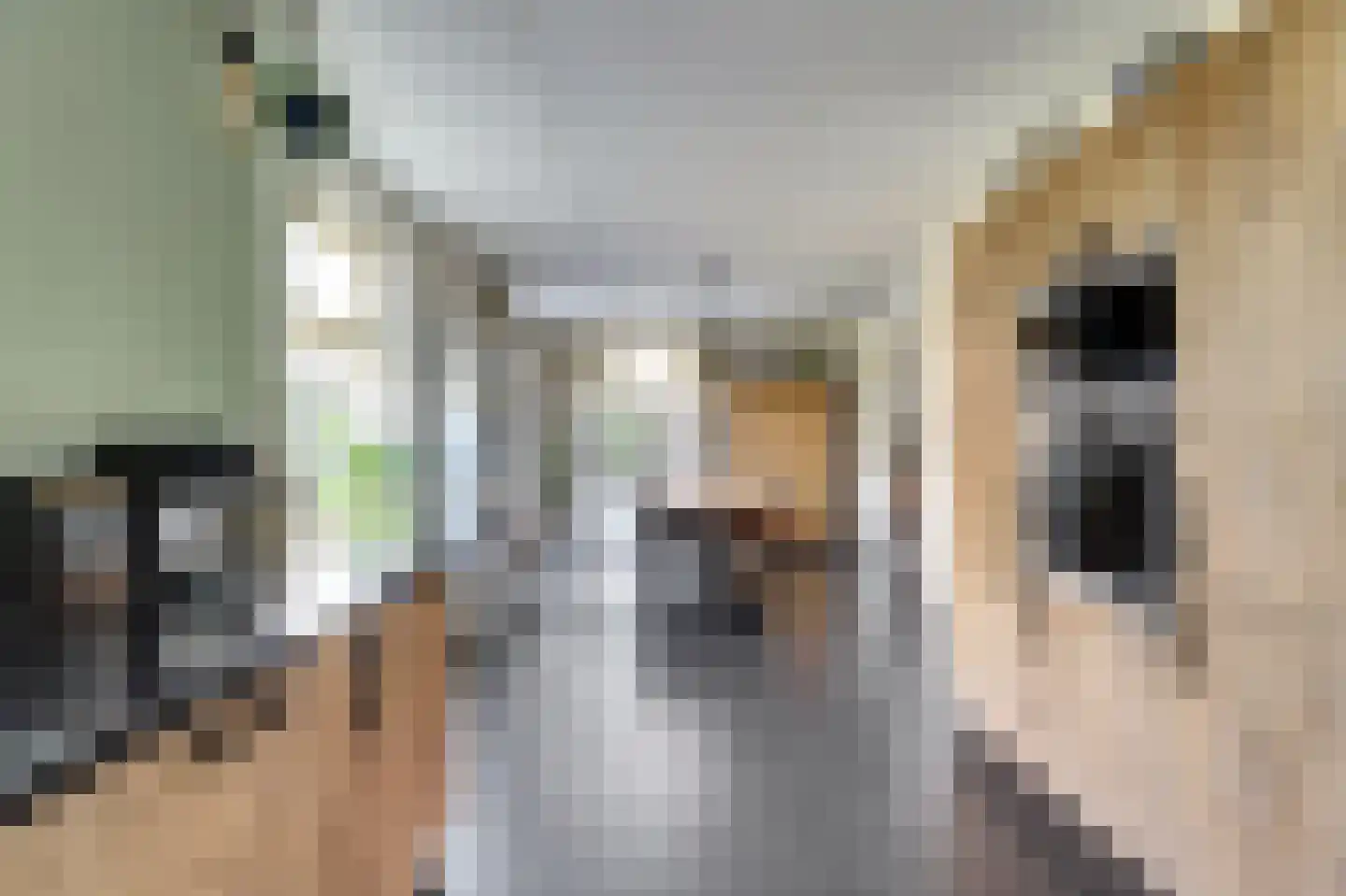 It Stalt 6 Oudega thumbnail 21