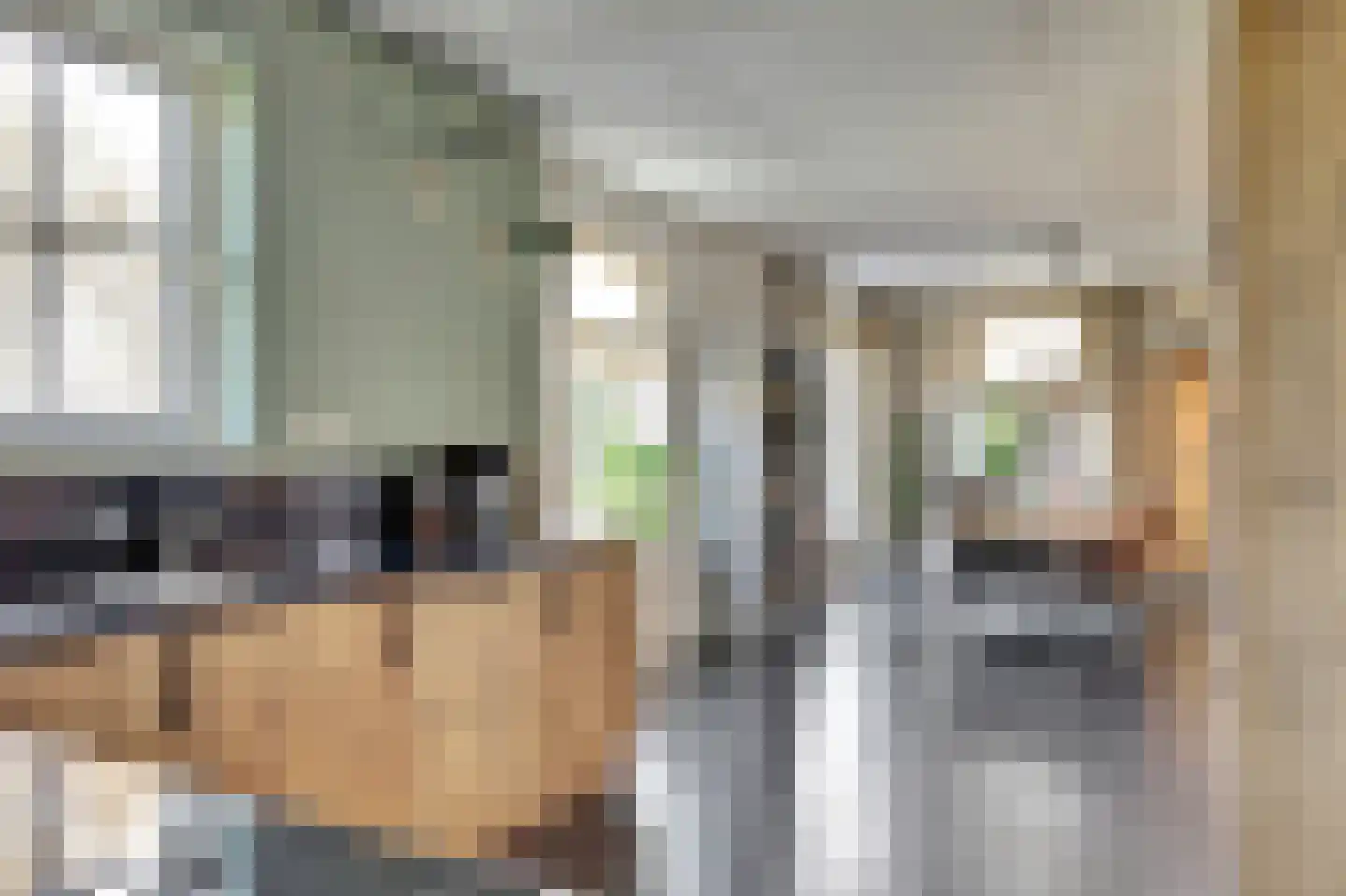 It Stalt 6 Oudega thumbnail 22