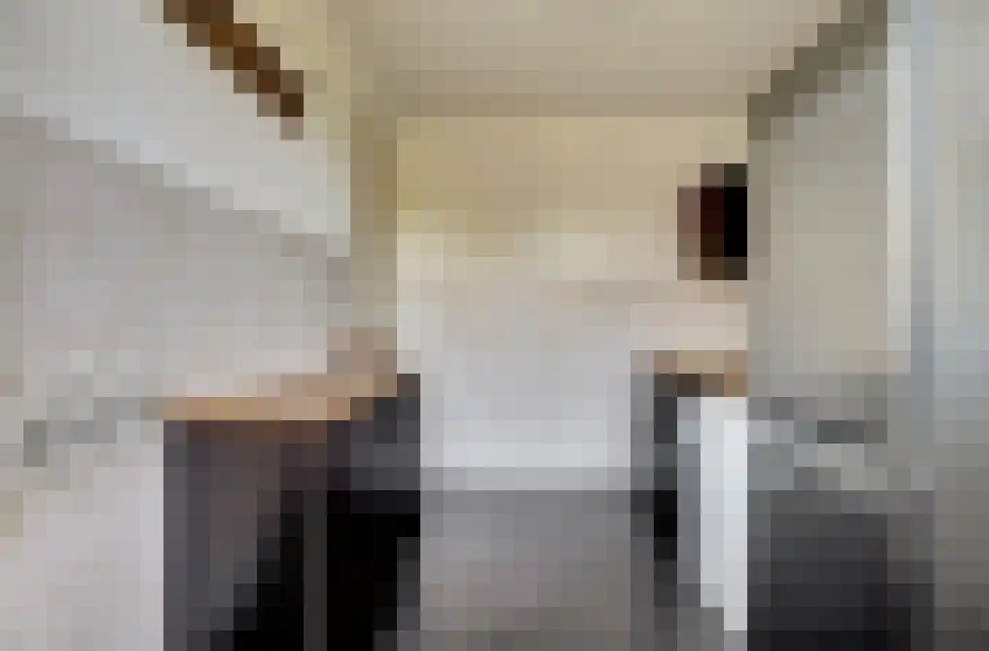 It Stalt 6 Oudega thumbnail 34