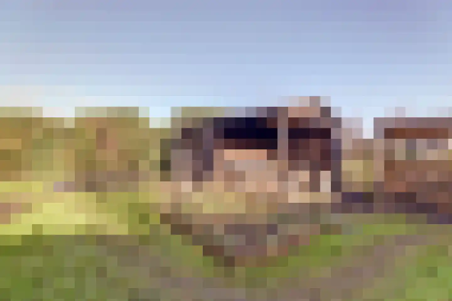 It Stalt 6 Oudega thumbnail 39