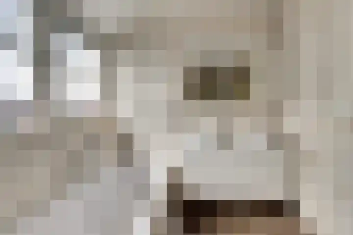 It Stalt 6 Oudega thumbnail 4
