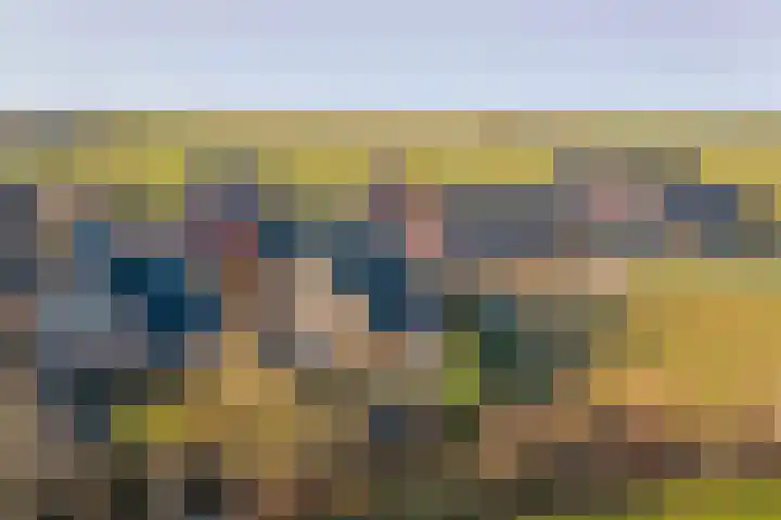 It Stalt 6 Oudega thumbnail 45