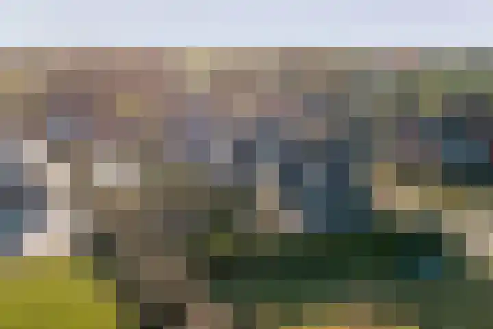 It Stalt 6 Oudega thumbnail 46