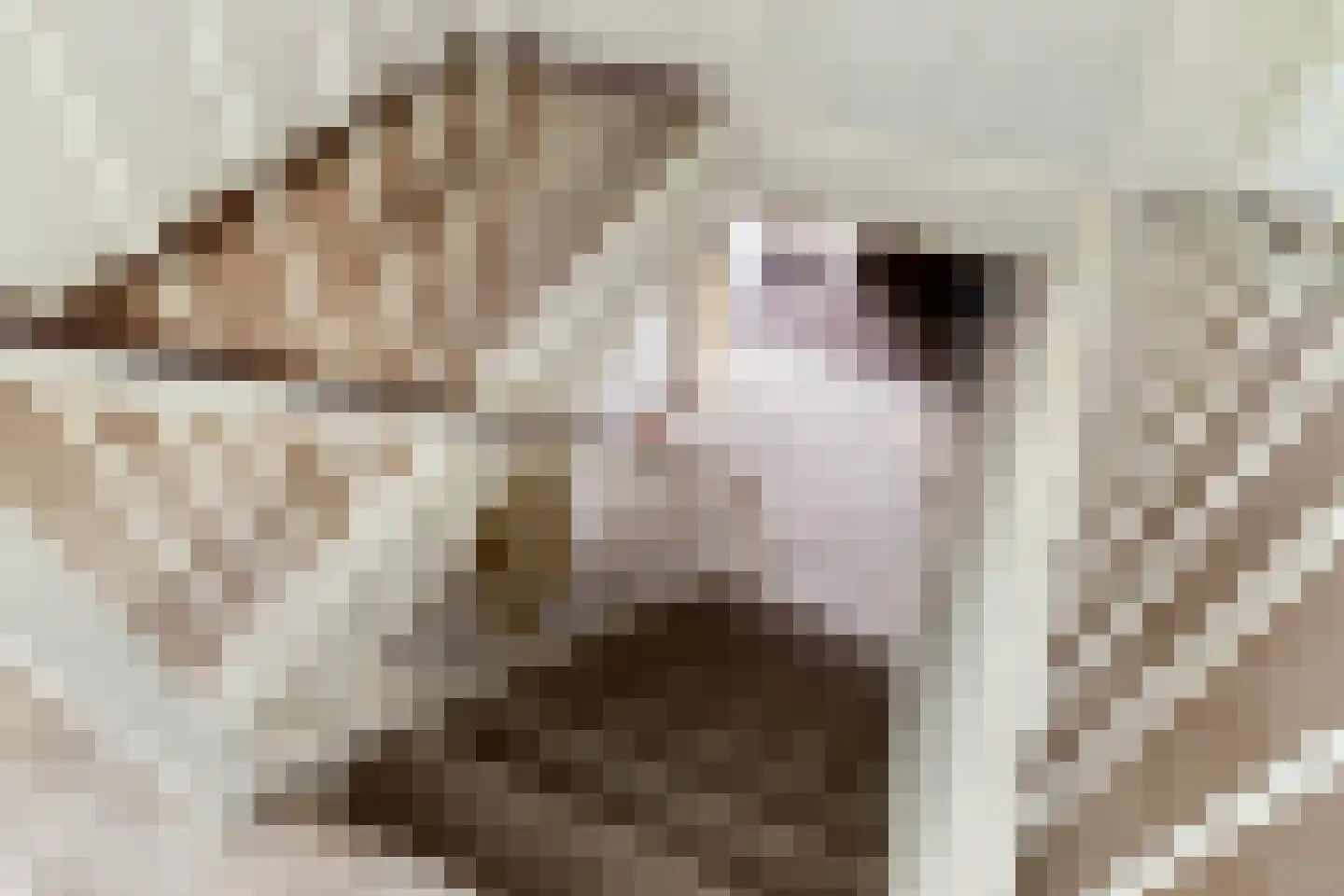 It Stimlân 2 Dronryp thumbnail 24