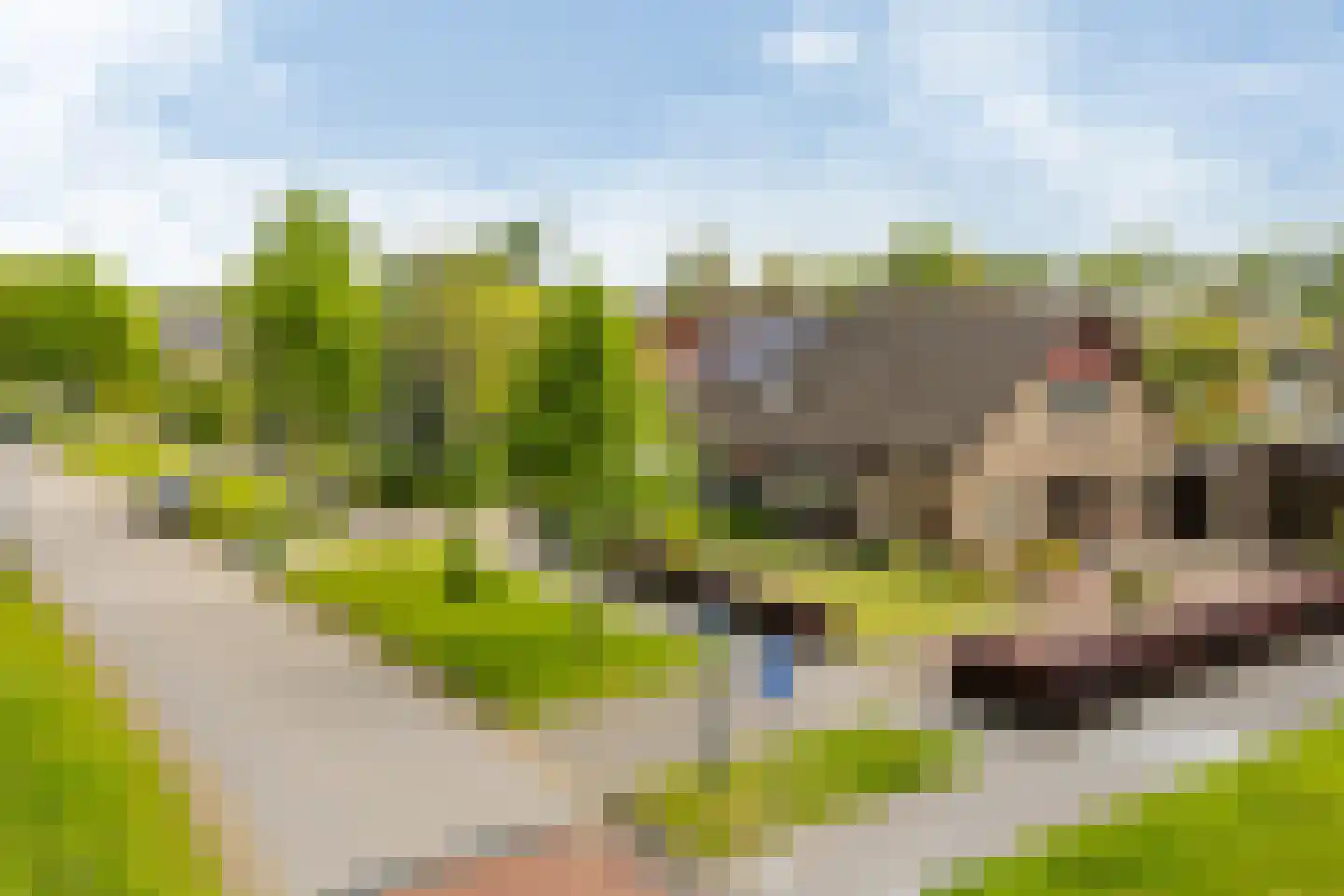It Stimlân 2 Dronryp thumbnail 41