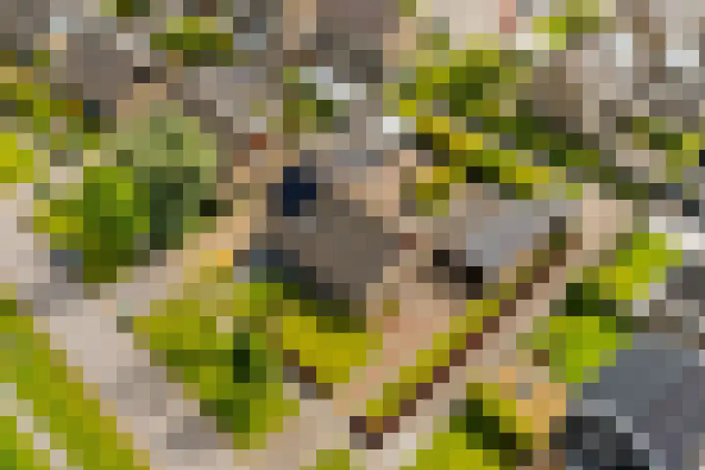 It Stimlân 2 Dronryp thumbnail 50