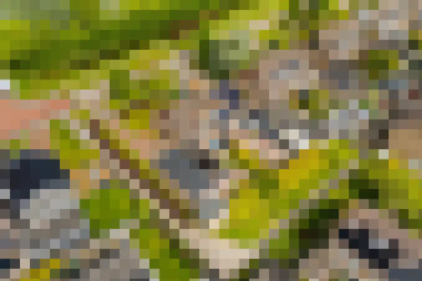 It Stimlân 2 Dronryp thumbnail 51