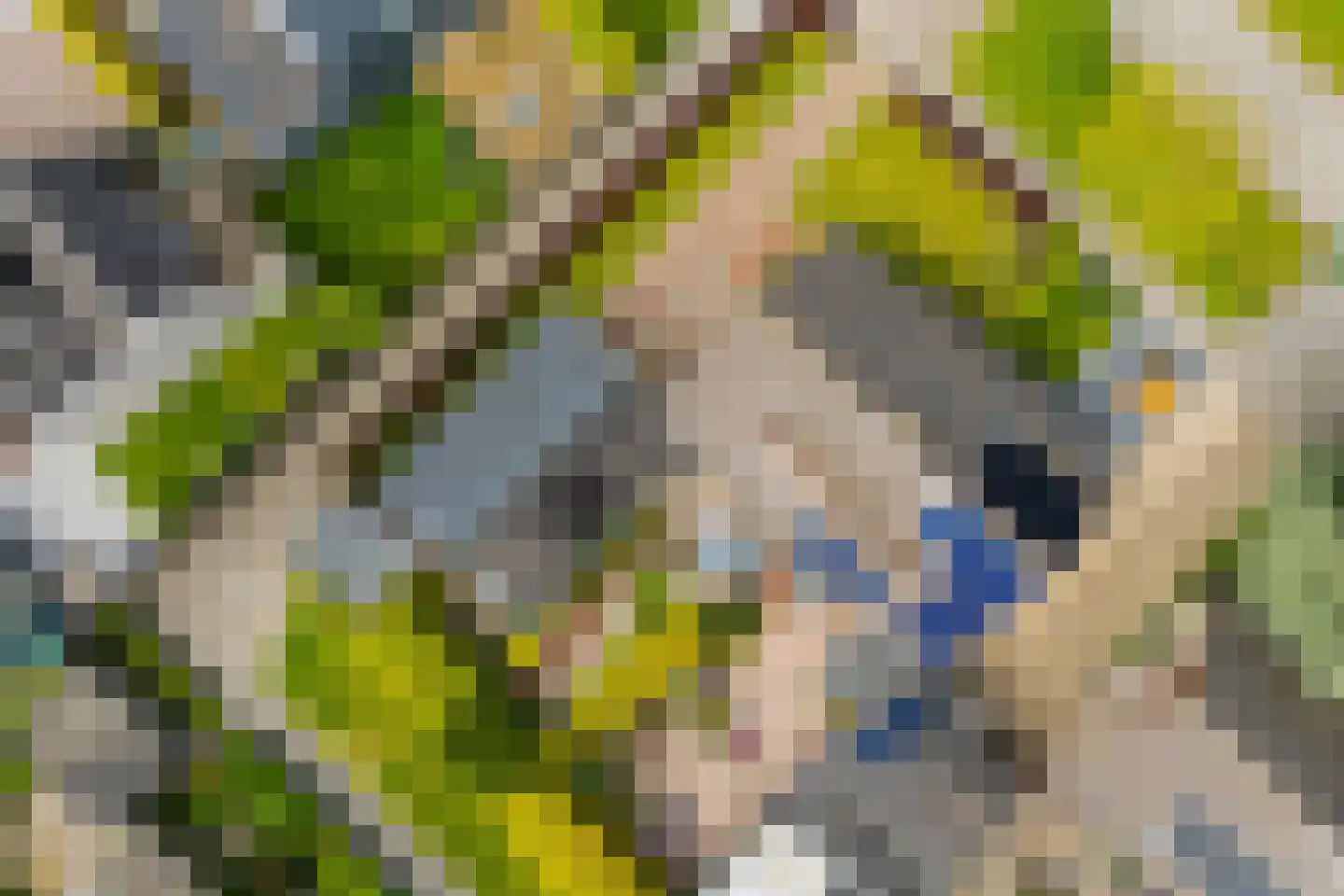It Stimlân 2 Dronryp thumbnail 53