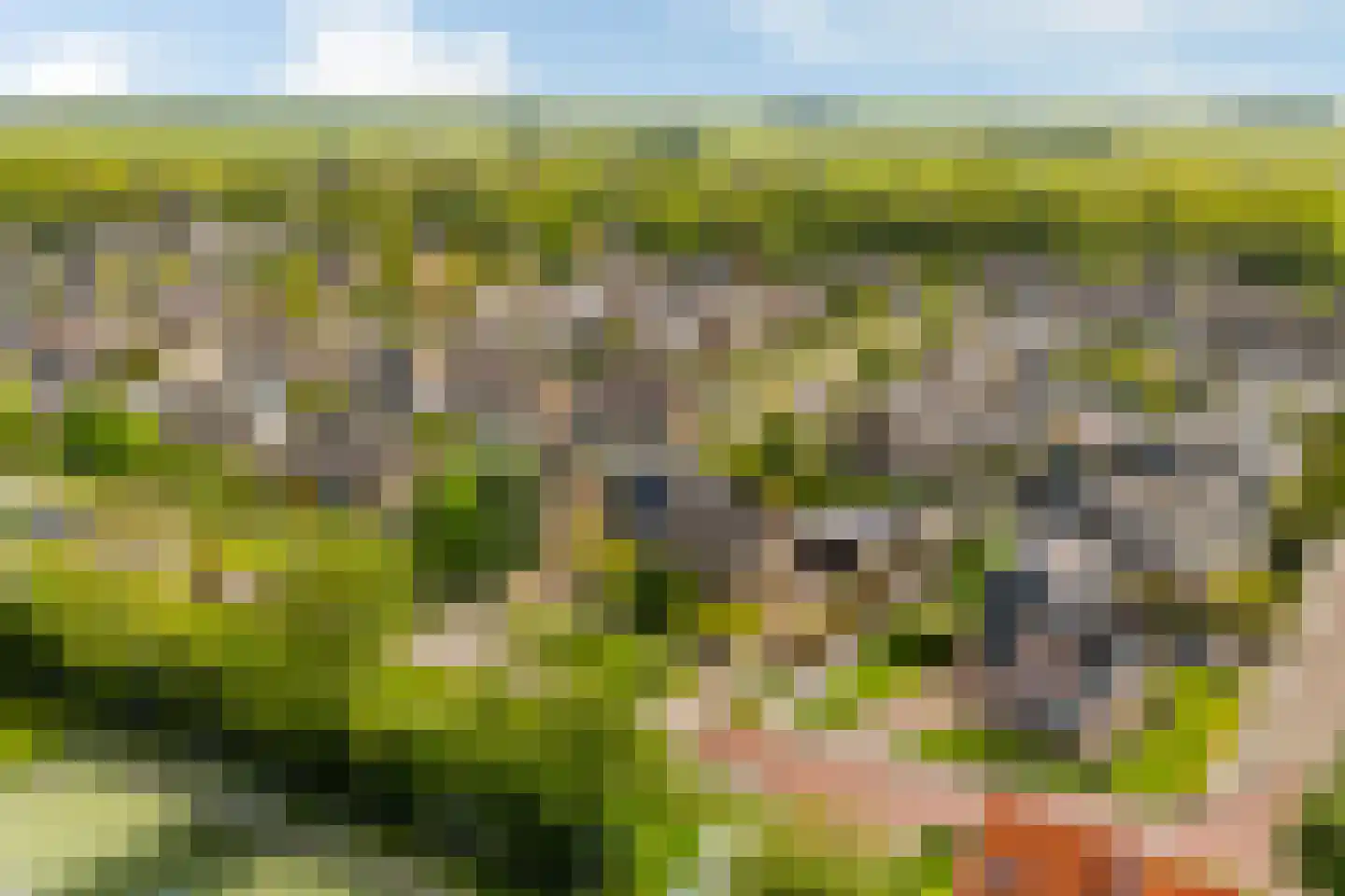 It Stimlân 2 Dronryp thumbnail 55