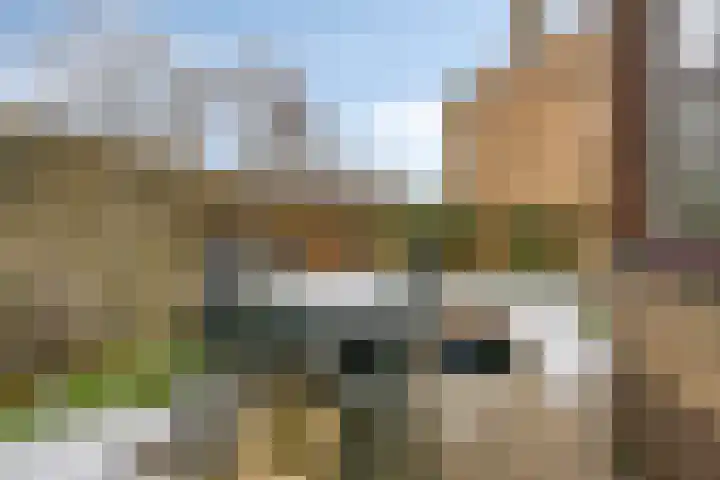 It String 18 Dronryp thumbnail 35