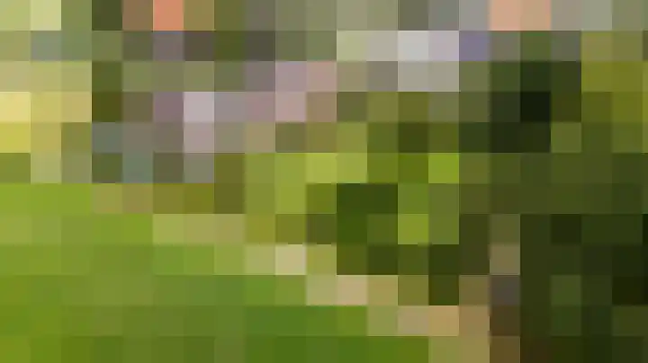 It String 2 en Goingarijp