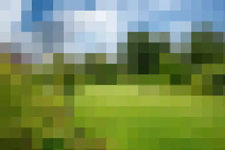 It String 2 Goingarijp thumbnail 39