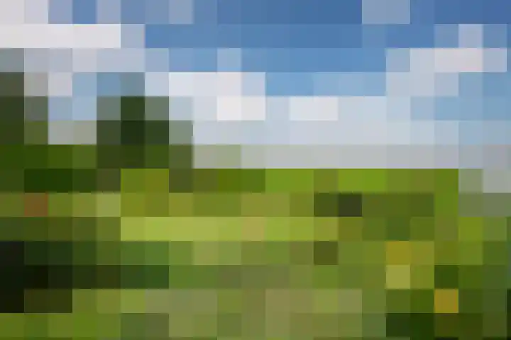 It String 2 Goingarijp thumbnail 43