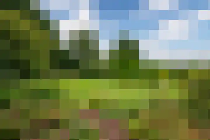 It String 2 Goingarijp thumbnail 44