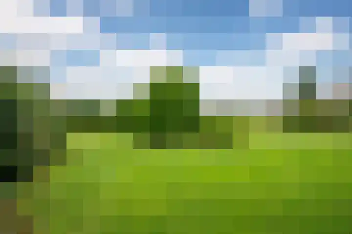 It String 2 Goingarijp thumbnail 45