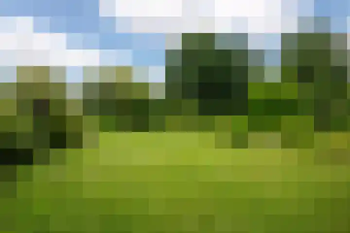 It String 2 Goingarijp thumbnail 48