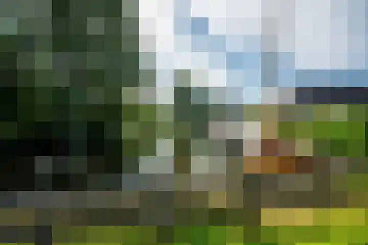 It String 2 Goingarijp thumbnail 52