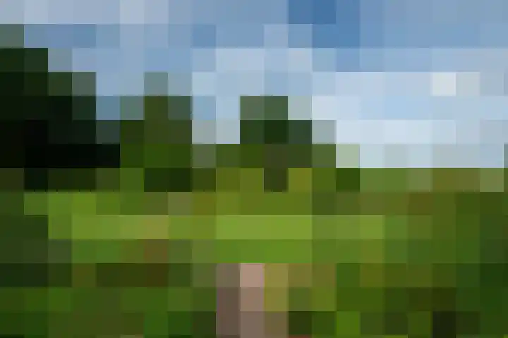 It String 2 Goingarijp thumbnail 54