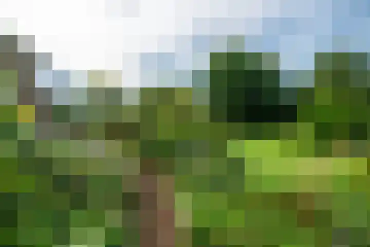 It String 2 Goingarijp thumbnail 55