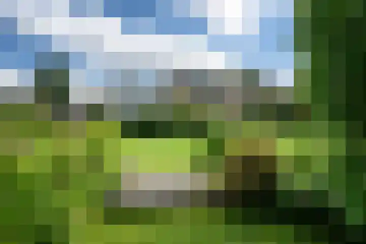 It String 2 Goingarijp thumbnail 56