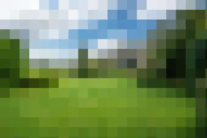 It String 2 Goingarijp thumbnail 57