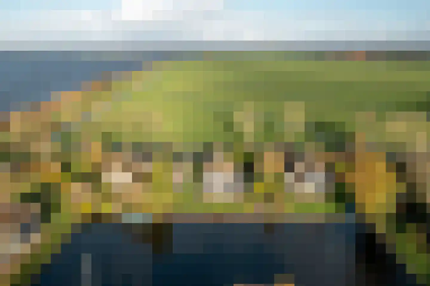 It String 55 Goingarijp thumbnail 12