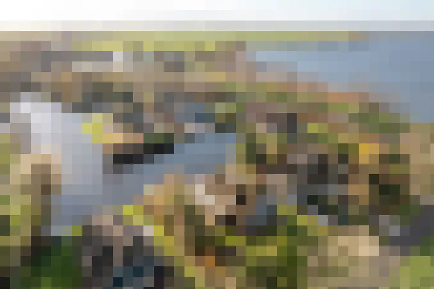 It String 55 RECR Goingarijp thumbnail 10