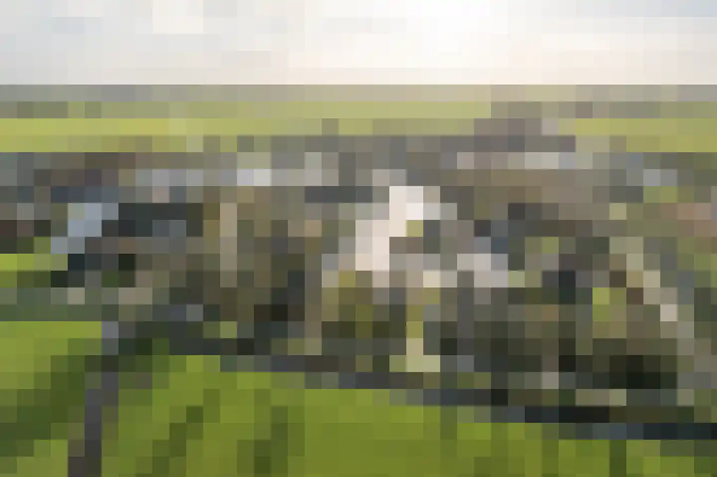 It String 55 RECR Goingarijp thumbnail 11