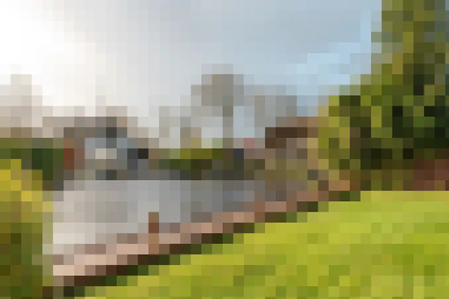 It String 55 RECR Goingarijp thumbnail 15