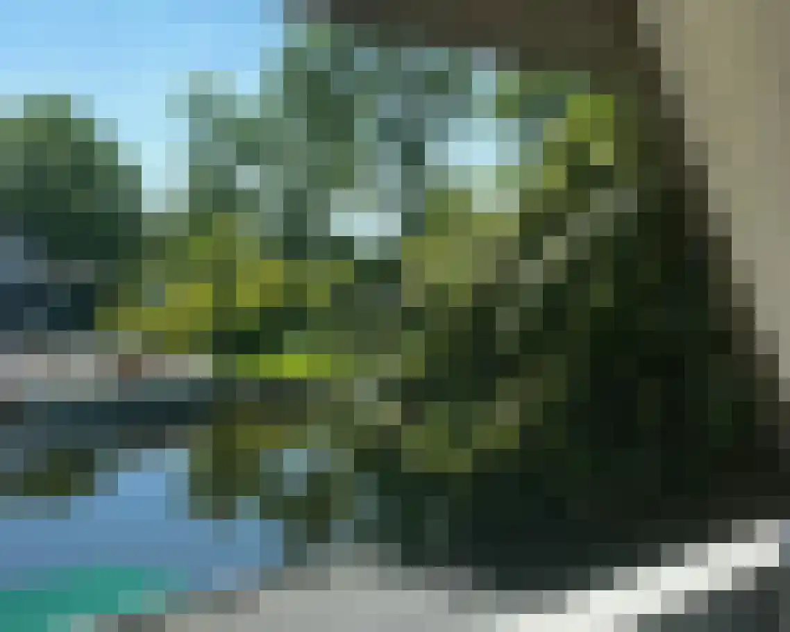 It String 55 RECR Goingarijp thumbnail 28