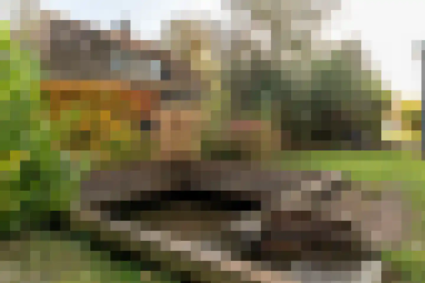 It String 55 RECR Goingarijp thumbnail 8
