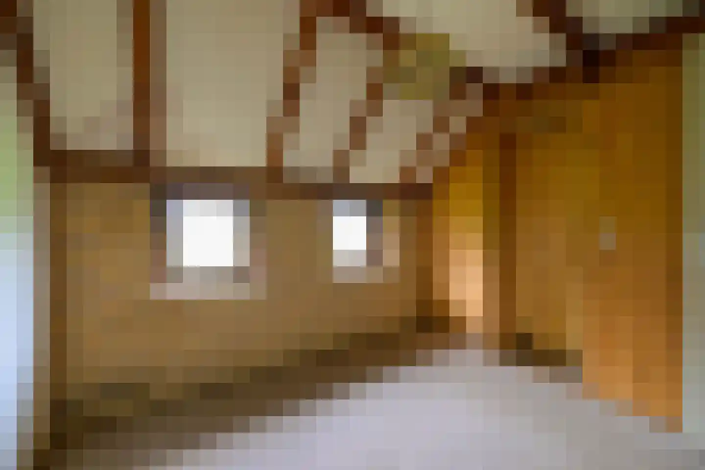 It Súd 12 Surhuizum thumbnail 10