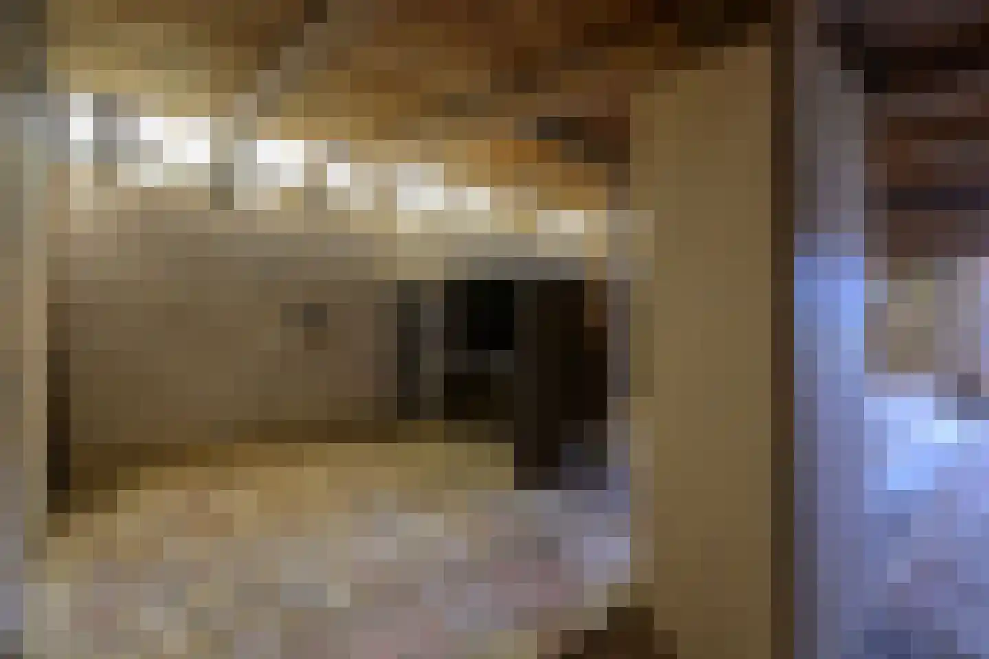 It Súd 12 Surhuizum thumbnail 16