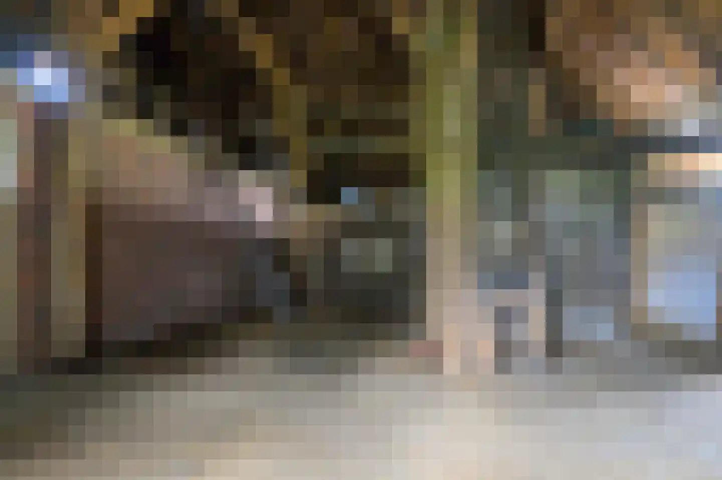 It Súd 12 Surhuizum thumbnail 22