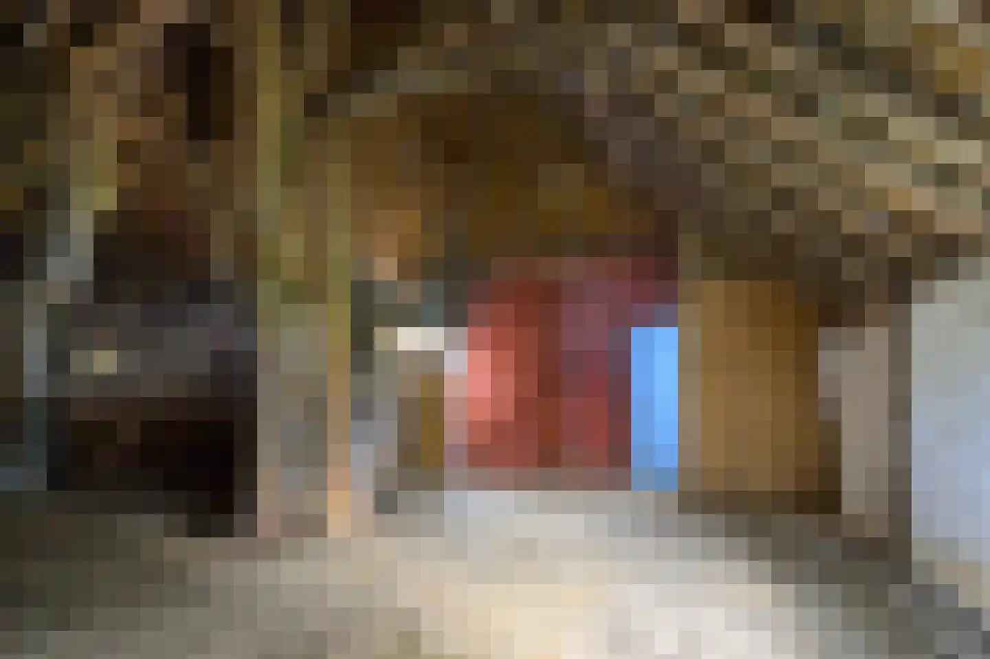 It Súd 12 Surhuizum thumbnail 23