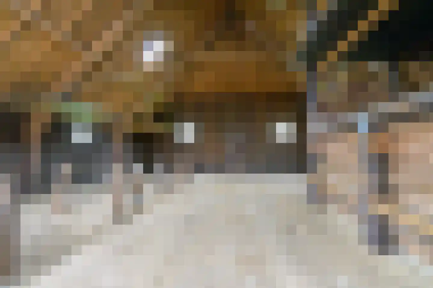 It Súd 12 Surhuizum thumbnail 24