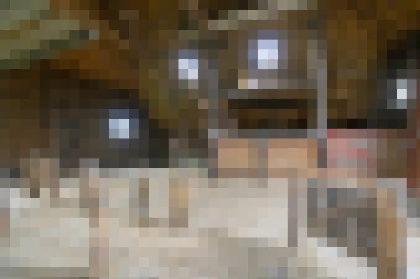 It Súd 12 Surhuizum thumbnail 25