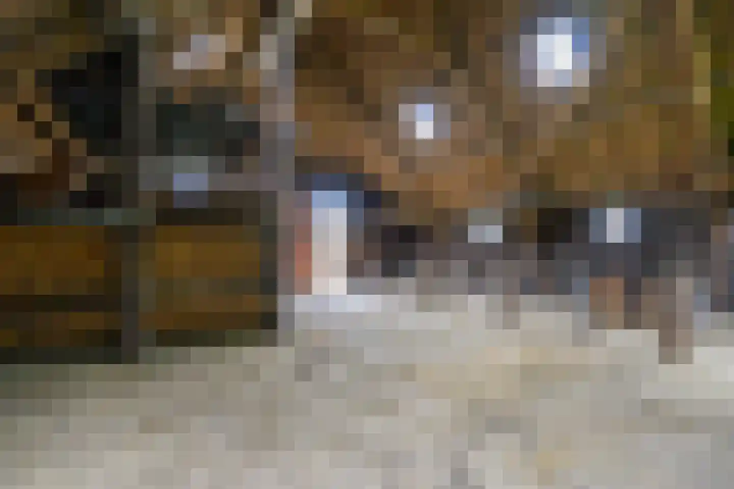 It Súd 12 Surhuizum thumbnail 26