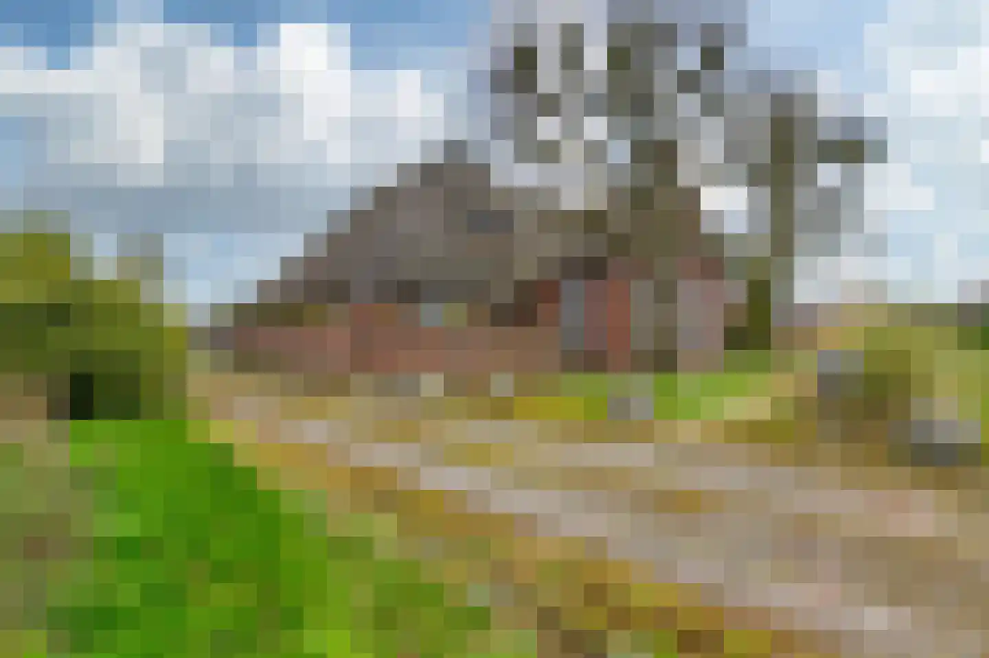 It Súd 12 Surhuizum thumbnail 4