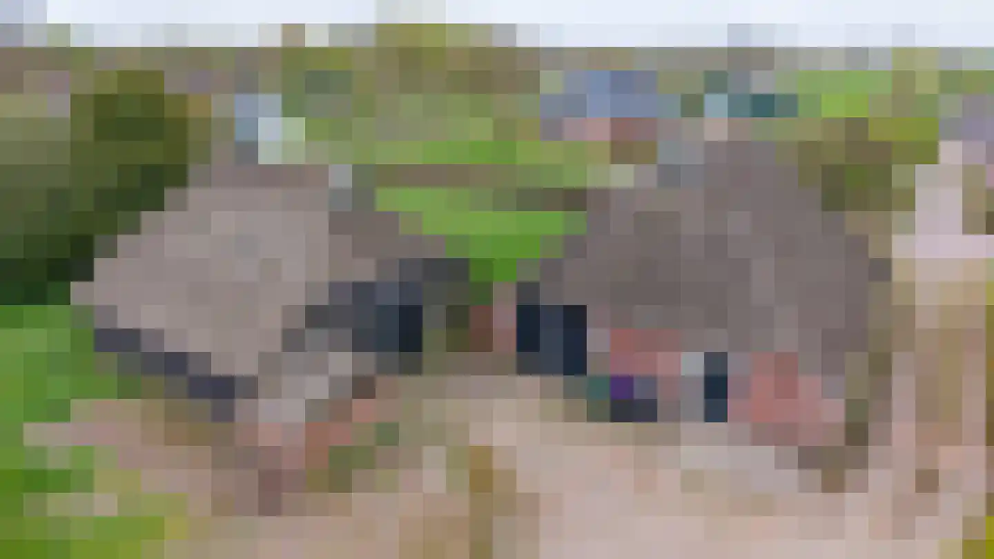 It Súd 12 Surhuizum thumbnail 5