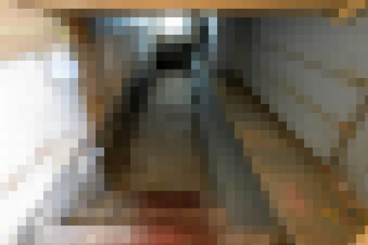 It Súd 12 Surhuizum thumbnail 8