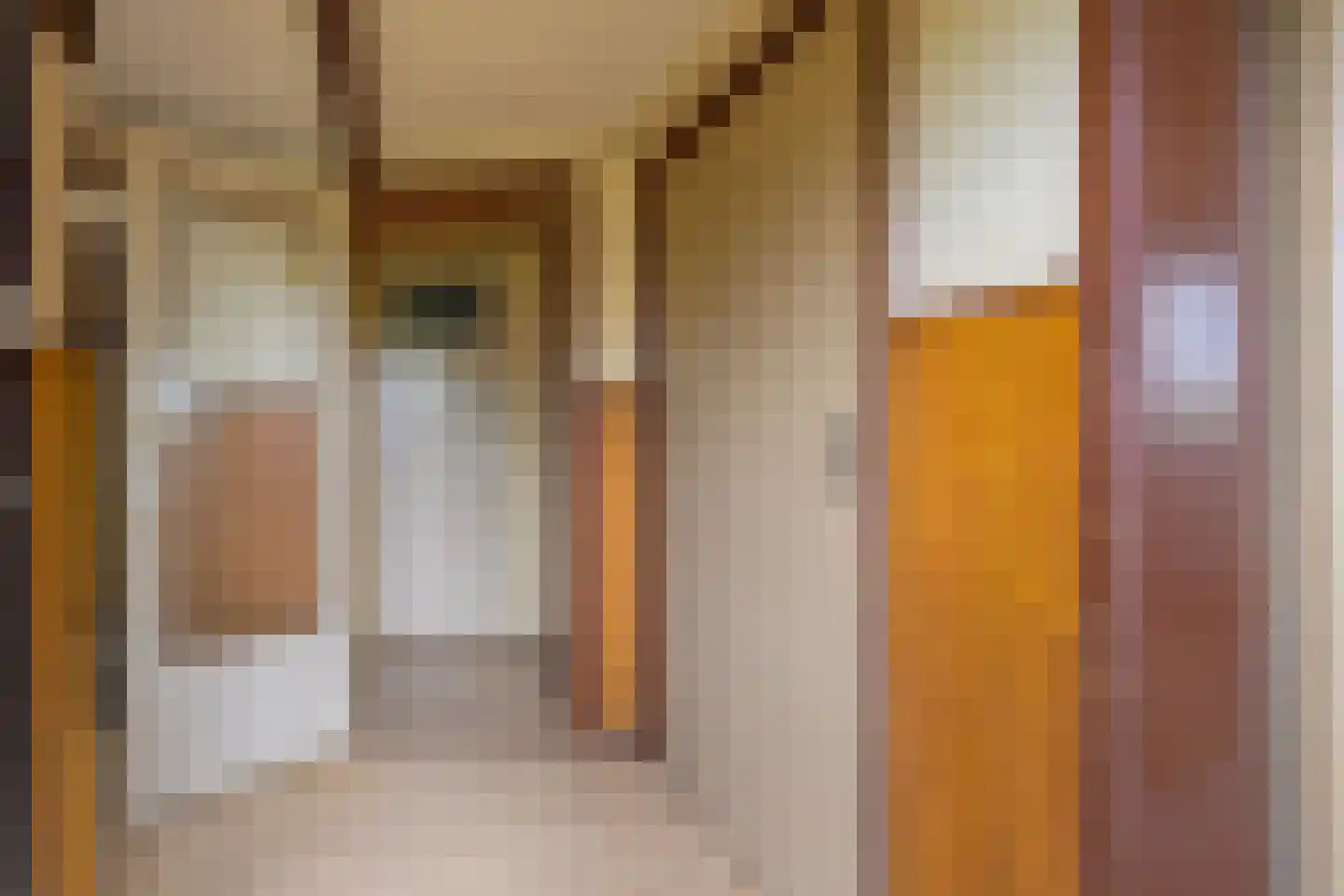 It Súd 12 Surhuizum thumbnail 9