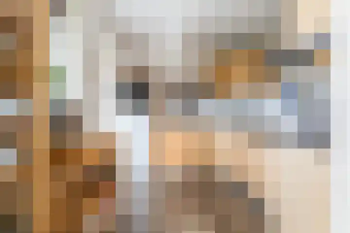 It Suderheech 10 Ferwert thumbnail 14