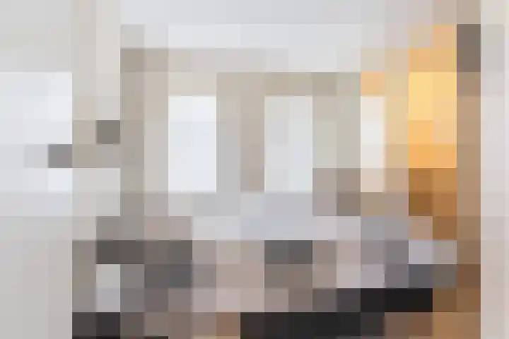 It Suderheech 10 Ferwert thumbnail 16