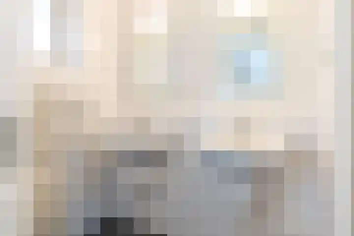 It Suderheech 10 Ferwert thumbnail 17