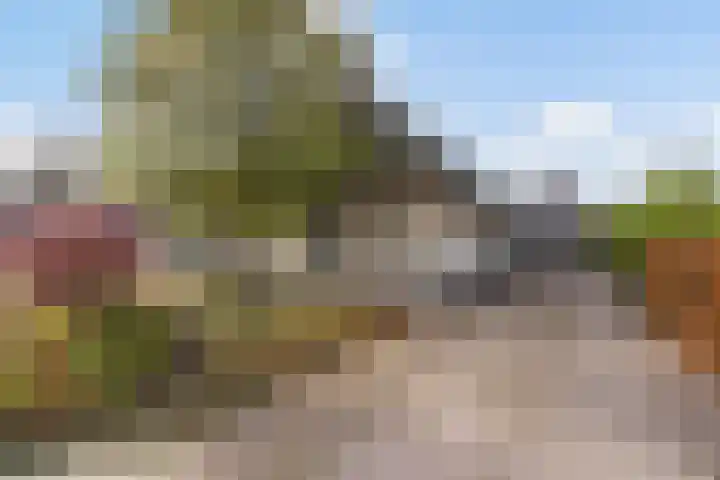 It Suderheech 10 Ferwert foto 2