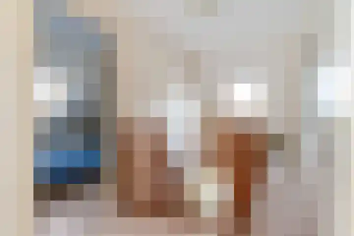 It Suderheech 10 Ferwert thumbnail 21