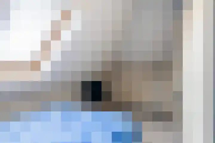 It Suderheech 10 Ferwert thumbnail 22