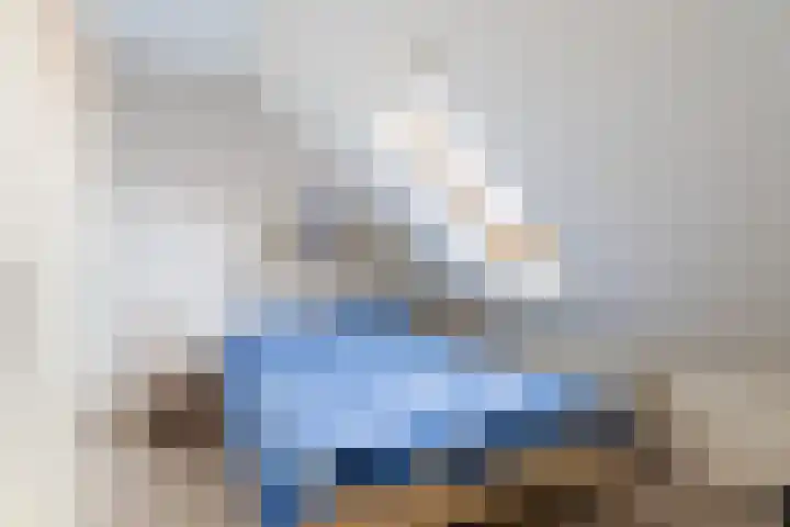 It Suderheech 10 Ferwert thumbnail 23